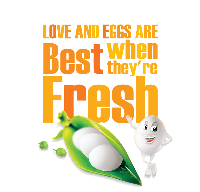 Best egg suppliers in Ernakulam